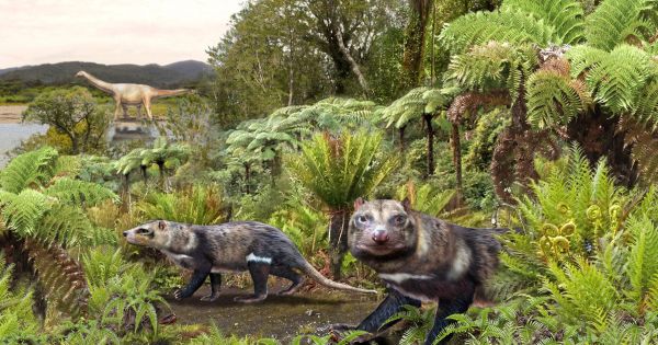 Scienziati cileni e argentini trovano resti di mammiferi dell’era dei dinosauri: MercoPress