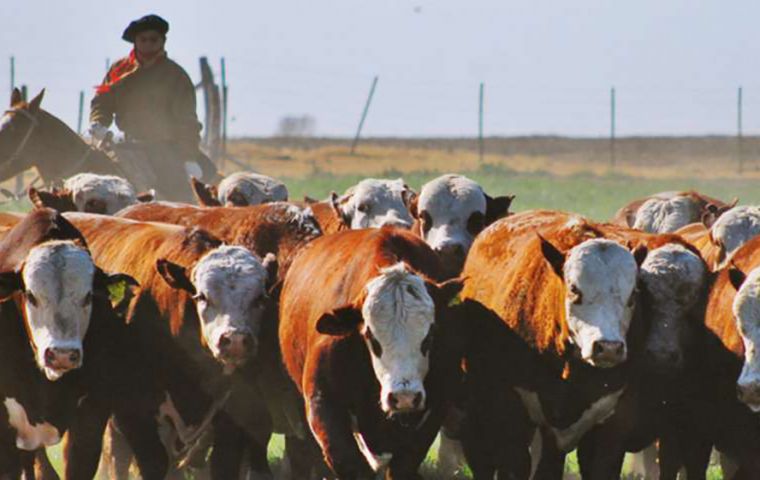 The goal of the measure is to “improve the monitoring of beef exports and the supply to the domestic market,” the government said in a statement.