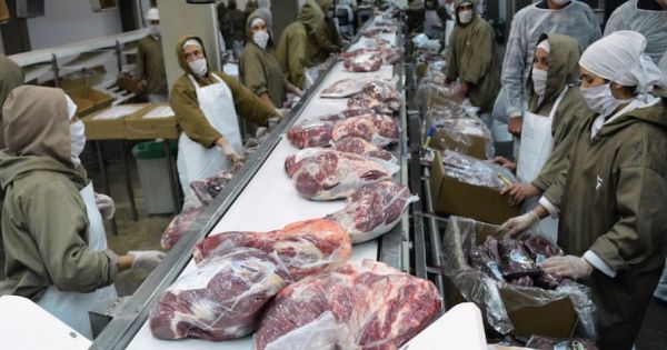 Bolivia bans beef exports to guarantee domestic supply - Vimarsana News