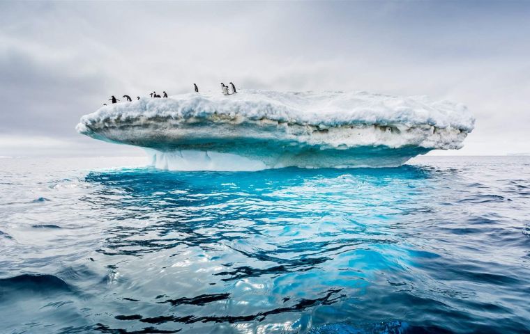 “The Southern Ocean is one of the last great wilderness areas on the planet,” said Kavanagh.