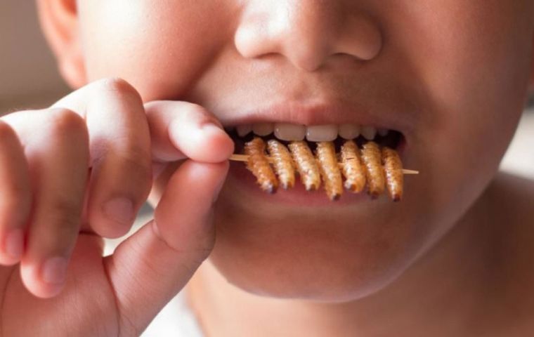 Eating worms could bring about environmental advantages (Pic: Shutterstock)