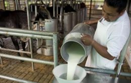 Argentine milk producers demand clearer rules and shortages may soon become noticeable.