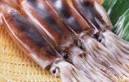 In the first quarter Illex squid sales were over 50,000 tons, 96% of which was sold whole at an average of US$ 2,000 the ton