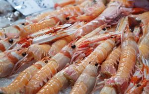 Shrimp sales and value were also up with a 16% demand increase and 23% in price. Whole shrimp made US$ 6,000 the ton