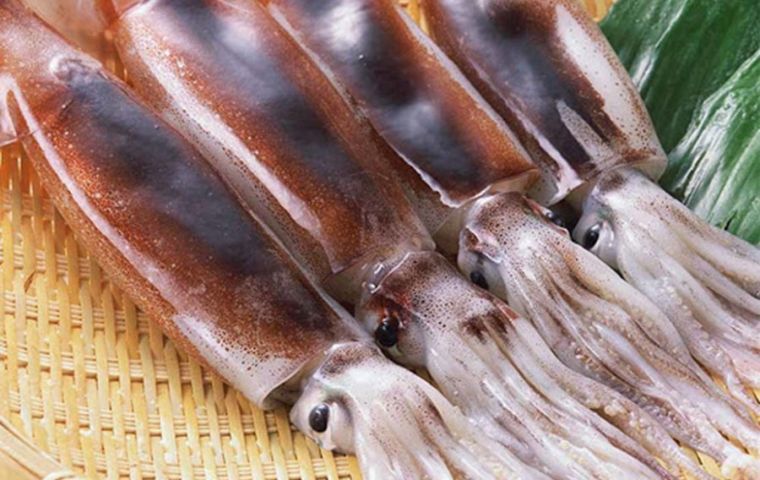 In the first quarter Illex squid sales were over 50,000 tons, 96% of which was sold whole at an average of US$ 2,000 the ton