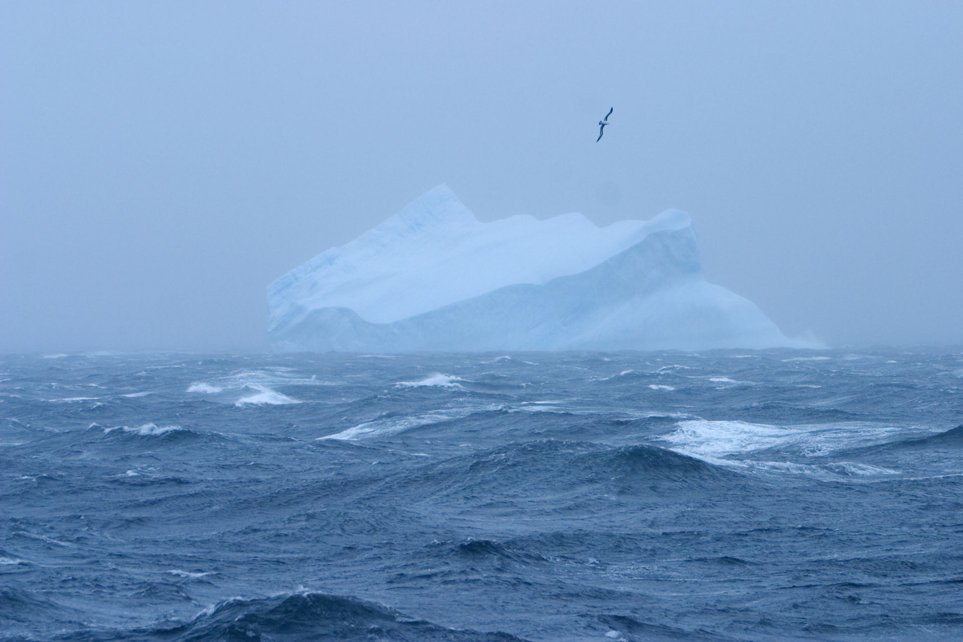 National Geographic makes it official, Southern Ocean is the fifth ocean — MercoPress