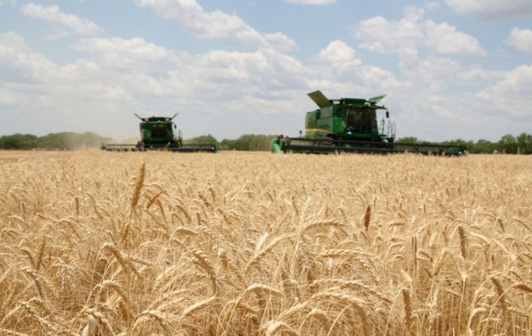 This has been a good season for Argentine corn, with shipments totaling some 33 million tons out of a total harvest of 48 million tons 