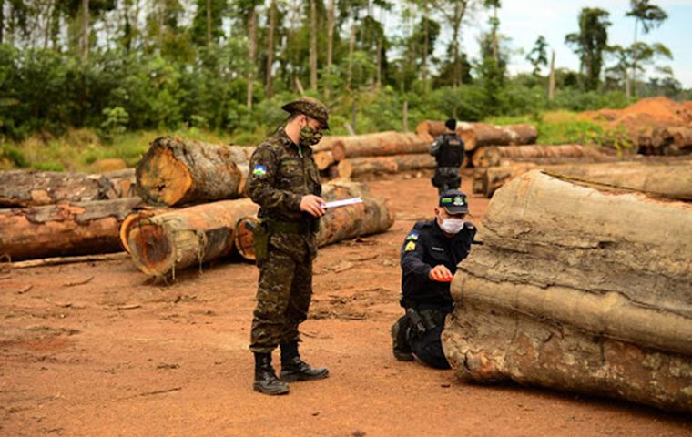 Deforestation has surged after the 2018 election of Bolsonaro