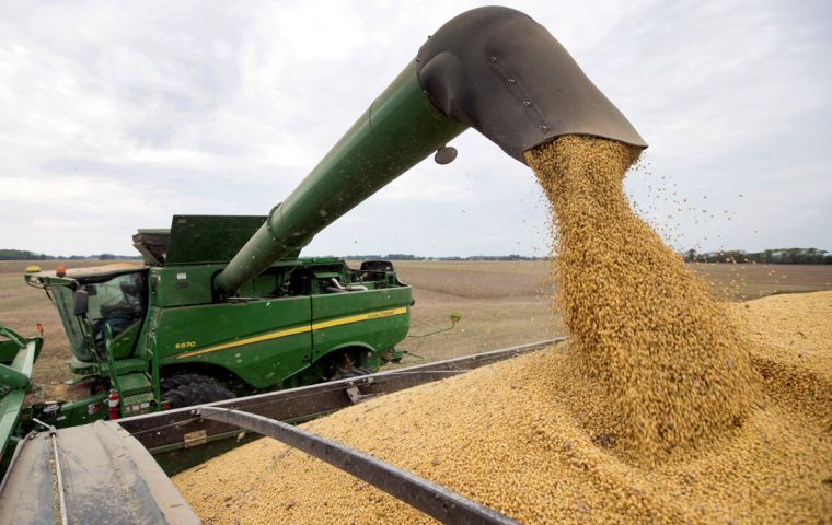 The area planted with soybeans in the US was  almost 600,000 hectares below market projections, a new USDA report showed