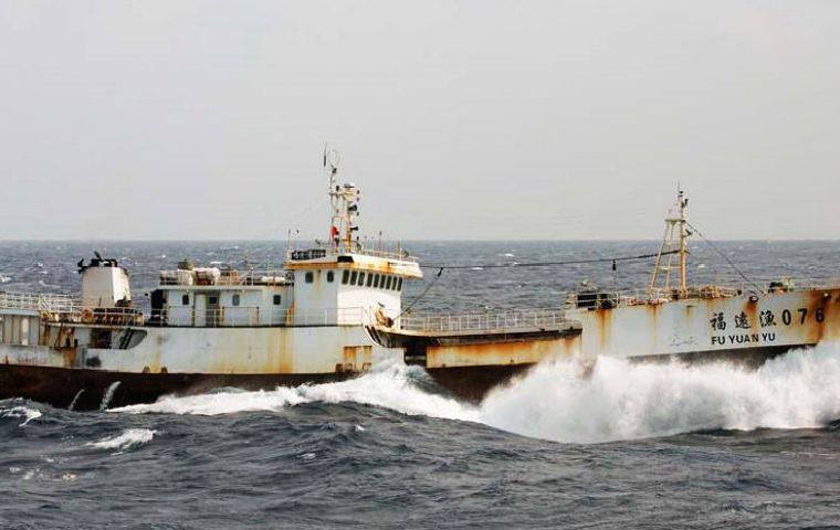 Some of the Chinese jiggers on the run after been caught illegally fishing in the South West Atlantic 