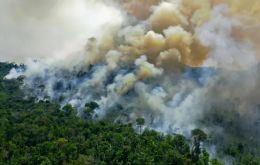 Forest and jungle fires have reached historic records under Bolsonaro