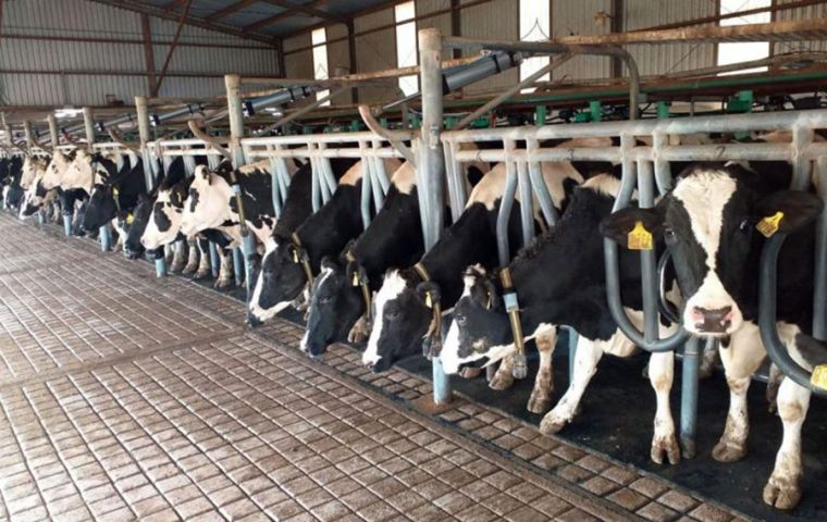 The FAO Dairy Price Index declined 2.8 percent from June, impacted by slower market activity in the Northern hemisphere due to ongoing summer holidays