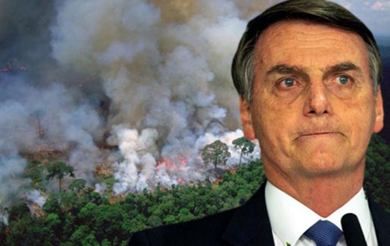 Bolsonaro is now “trying to reward those who practice illegal deforestation and land theft,” said Greenpeace's Mazzetti.