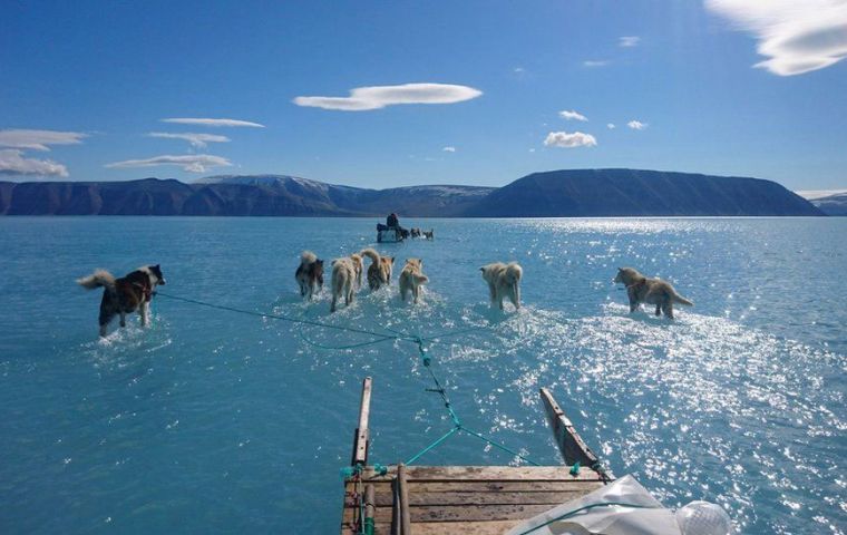 Climate scientist Steffen Olsen took this picture while travelling across melted sea ice in north-west Greenland