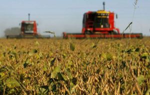 The 2021/2022 corn harvest is expected at some 55 million tons and that of soybeans, 49 million tons