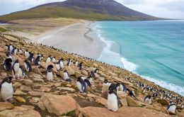 MLA Leona Roberts said it was an ambitious strategy crucial to the Falkland Islands. It is “a pathway for achieving our vision of a sustainable and bio-diverse future”.
