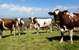 FAO Dairy Price Index increased 1.5% from August, as solid global import demand in Europe and Oceania drove up quotations for all dairy products