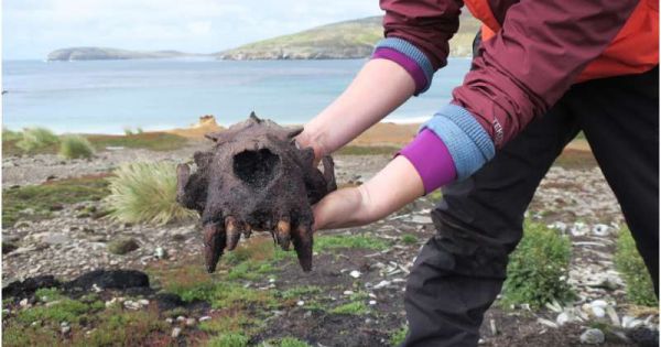 Falkland Islands: Team discovers evidence of prehistoric human activity - Vimarsana News