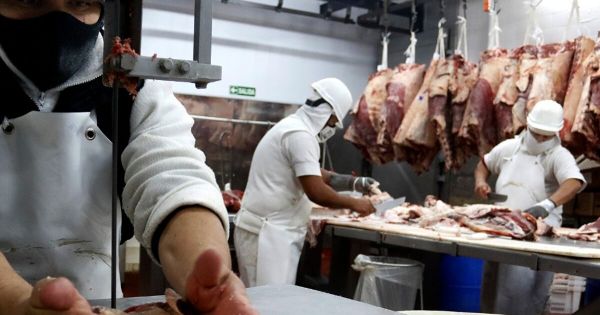 Russia reopens market to Brazil for 200,000 tons of beef and 100,00 of pork, zero-tariff - Vimarsana News