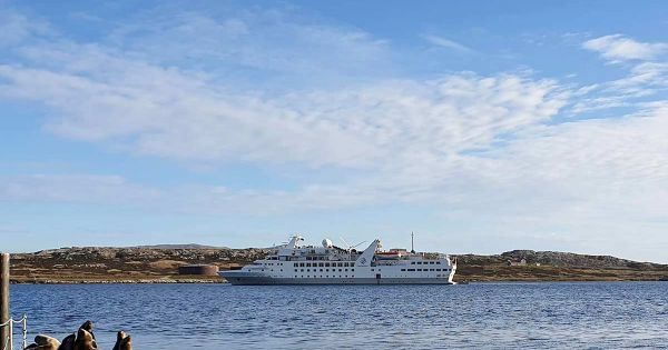 Falkland Islands receives the first cruise visit since 2019/20 season - Vimarsana News