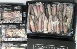 Illex squid was atypical: 2020 was good in volume and prices, but in 2021 exports were down 24% (118,000 tons) and prices 21% lower   