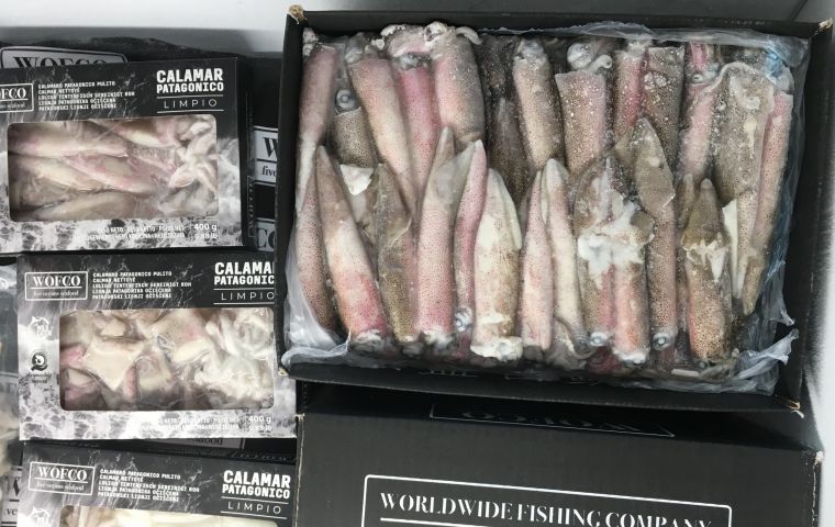 Illex squid was atypical: 2020 was good in volume and prices, but in 2021 exports were down 24% (118,000 tons) and prices 21% lower   