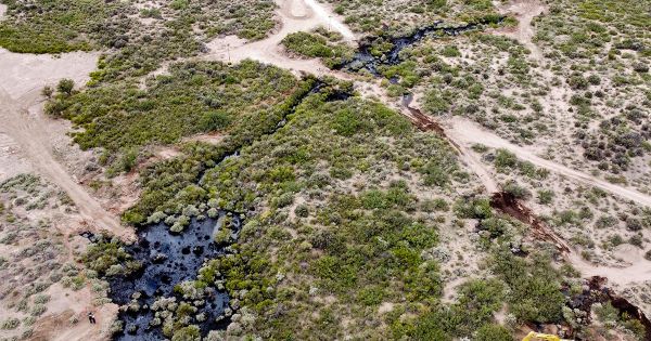 Argentina: Pipeline oil spill in Río Negro exceeded 3 million liters - Vimarsana News