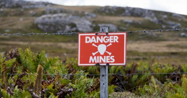 Falklands: successful start to minefield fence removal program - Vimarsana News