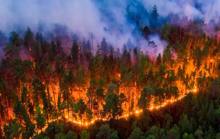 In Uruguay, the first days of 2022 were already marked by frightening images of fires in different regions.