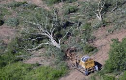 Corruption plays a big part in deforestation, it was reported
