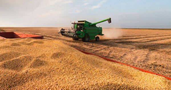 Paraguay foresees worst soybean harvest in 25 years - Vimarsana News