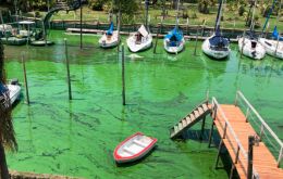 Cyanobacteria can cause gastrointestinal, respiratory, neurological, skin, ear, and eye infections.