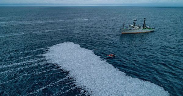 French and EU investigation into major fisheries incident that caused the death of tons of blue whiting - Vimarsana News