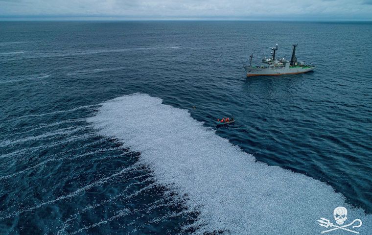The Sea Shepherd France environmental group filmed the fish, saying they covered an area of about 3,000 square meters.