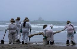 Maintenance workers had been cleaning the beaches without adequate protection gear 
