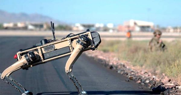 US Homeland Department to deploy robot dogs along the border with Mexico - Vimarsana News