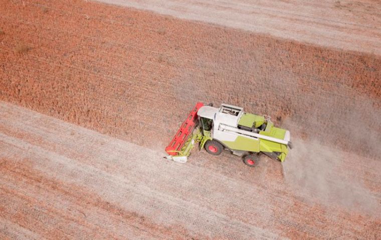 Paraguay's Chamber of Oilseeds and Cereals Processors (Cappro) estimates total production could decrease by 60%, compared to last year's 10 million tons crop