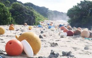 Henderson is considered the most polluted island in the world as Pacific currents dump masses of plastic and rubbish along its beaches 