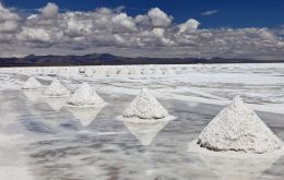 Argentina will be Tesla's second supplier of lithium, behind Australia 