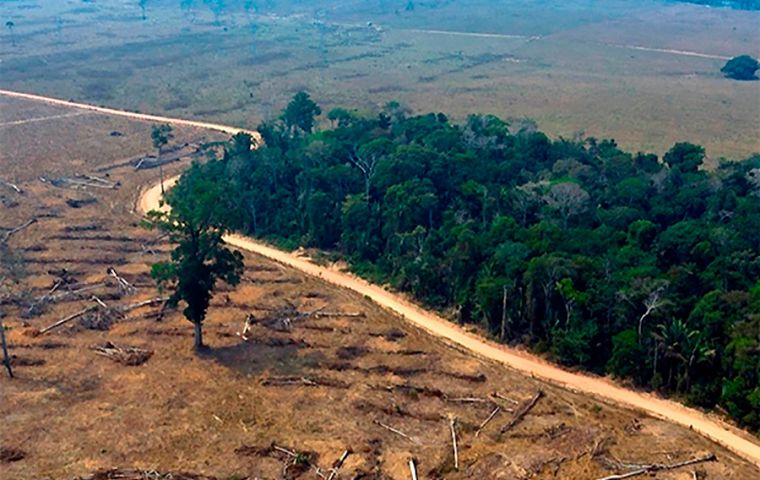 The environmental groups say that the EU draft proposal is “necessary and positive,” but needs “improvements” to effectively combat deforestation