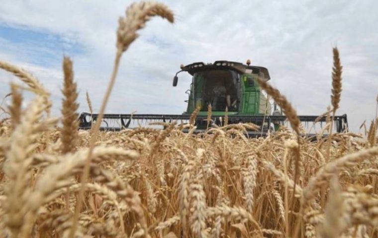 Brazil normally imports more than 50% of the wheat it consumes, mainly from Argentina