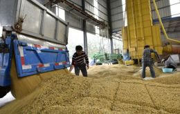 Chinese Customs reports imports from Brazil of soybeans climbed 241% during Jan/February, from 1,3 million tons last year to 3,51 million tons in 2022