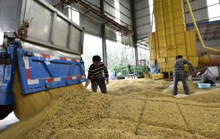 Chinese Customs reports imports from Brazil of soybeans climbed 241% during Jan/February, from 1,3 million tons last year to 3,51 million tons in 2022