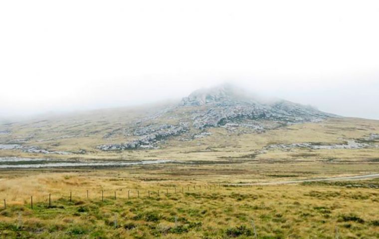 The Project brings together team members from Oxford University, Glasgow University, the Falkland Islands Museum & National Trust, and Waterloo charity.