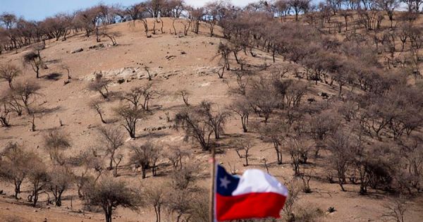 Chile extends agriculture emergency three months because of lack of ...