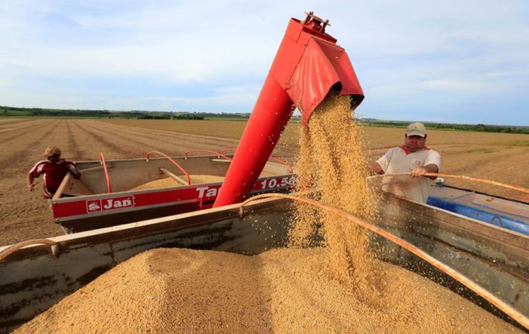 If the soybean export estimate is confirmed, the drop in volume from the 2021 record would be almost 10%