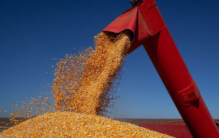 The previous record had been in 2020 when Brazil produced 255.4 million tons of cereals, pulses and oilseeds.