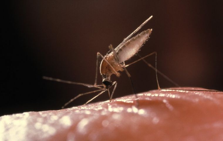 In 2018, Paraguay was certified by the World Health Organization (WHO), as a country free of autochthonous transmission of malaria