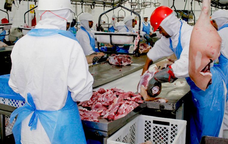 In the first quarter of 2022, pork shipments reached 237,500 tons, 6.3% lower than the 253,500 tons exported in the same period last year