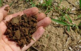 Well-managed soils are an effective way to reduce the emission of greenhouse gases 
